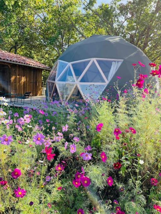 Dome Insolite Cedre Jacuzzi Et Petits Dejeuners Inclus Lagraulet-du-Gers Exterior photo