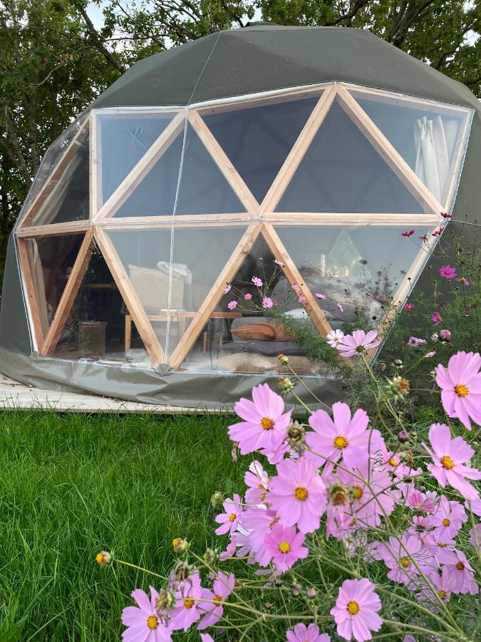 Dome Insolite Cedre Jacuzzi Et Petits Dejeuners Inclus Lagraulet-du-Gers Exterior photo